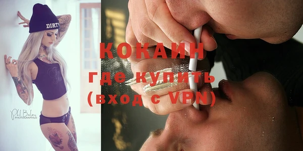 хмурый Аркадак