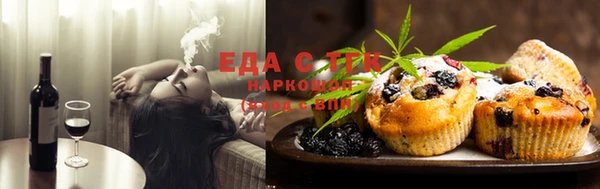 хмурый Аркадак