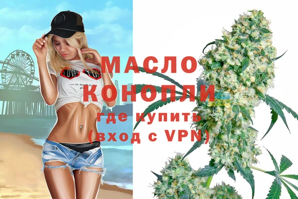 хмурый Аркадак