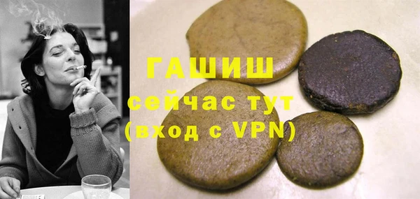 хмурый Аркадак
