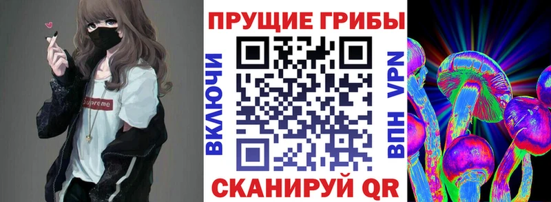 Купить  Красногорск  Псилоцибиновые грибы Magic Shrooms 